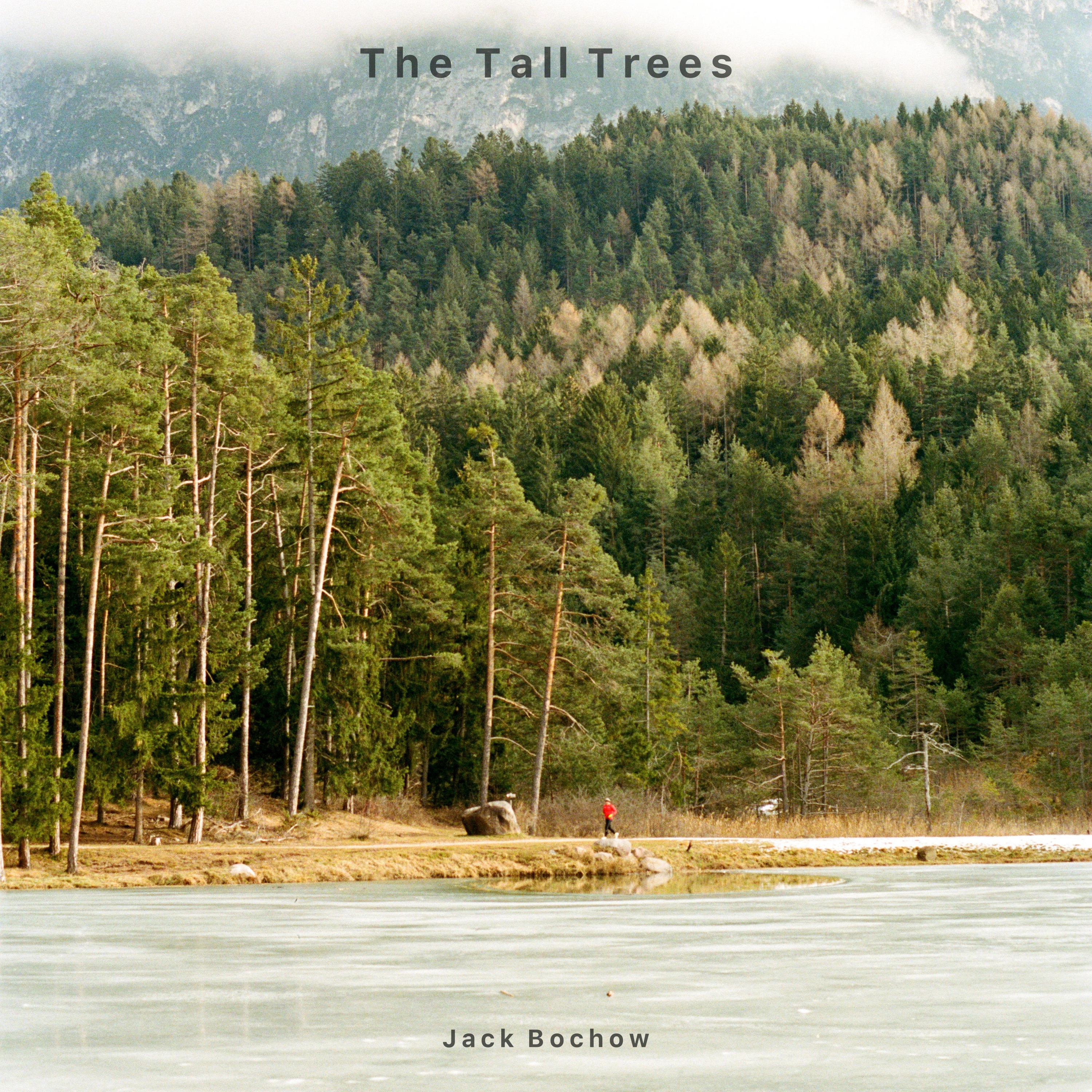 The Tall Trees